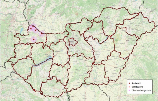 MKS Zonen Ungarn